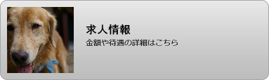 求人情報